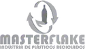 Logo Masterflake